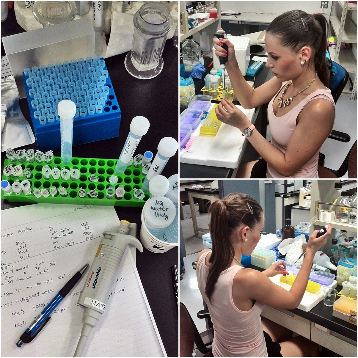 lab