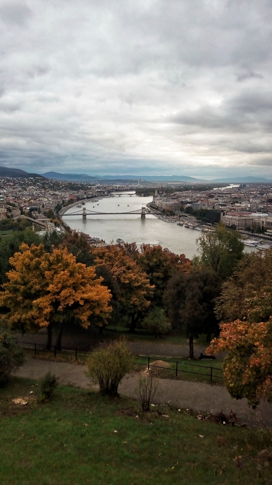 IMG_20171008_170401-01