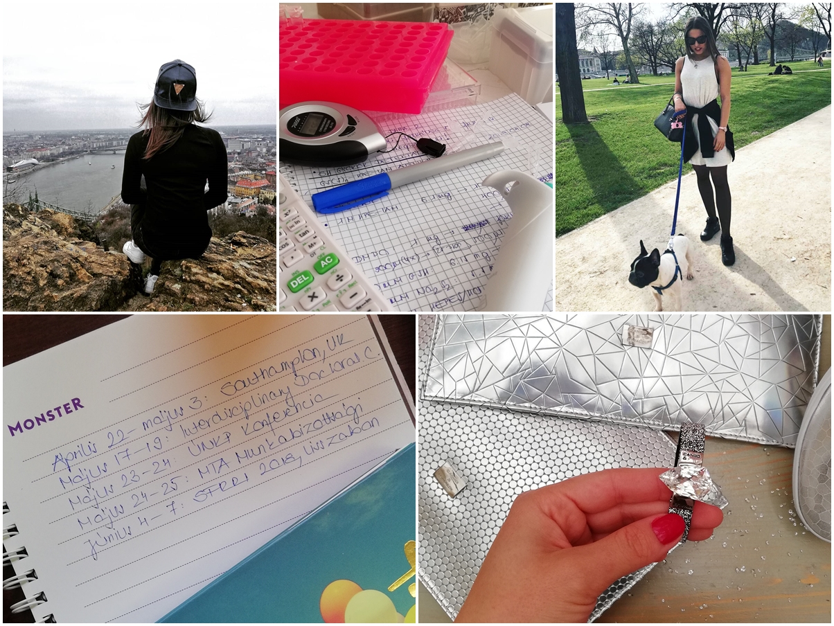 Photo diary