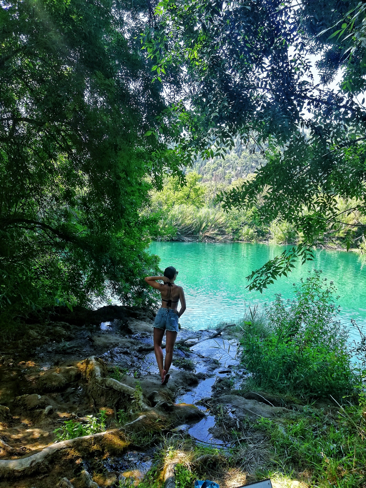 Krka