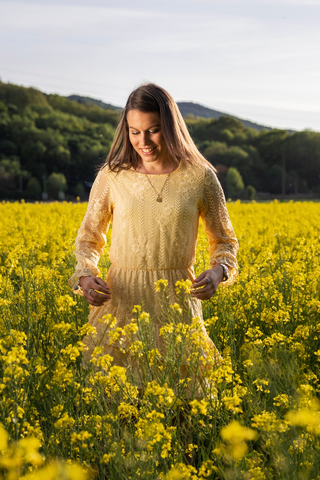 Rapeseed field